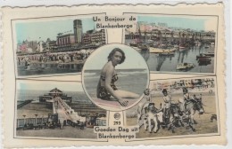 Germany - Blankenberge - Donkey - Sternberg