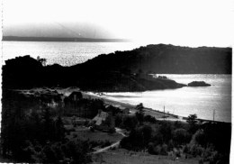 Delcampe - TREBEUDEN ... LE CASTEL ET LA PLAGE - Trébeurden