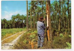 >> 40 - Le Gemmeur Dans La Forêt Automnale - Ed. Vignes - - Castets