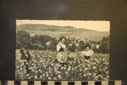 CP, 06, NICE, La Cueillette Des Oeillets , Animée - Petits Métiers