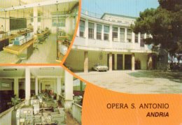 Opera S. Antonio - ANDRIA (Bari) - Andria