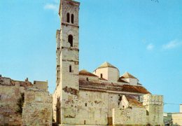 Molfetta - La Cattedrale - Molfetta