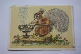GOURMAND By Golubev  - USSR Postcard 1967 Mushroom Champignon - Champignons