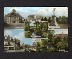 53 Mayenne Gorron Carte Multivues - Gorron