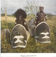 Deutsch Ostafrika - Wageia Im Kriegsschmuck           Ca. 1900 - Ehemalige Dt. Kolonien