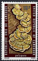 CAMEROUN Champignons, Mushrooms Setas,  Yvert N° 582 ** MNH  (POLYPORE) - Paddestoelen