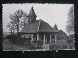 Delcampe - Co-175 /  Provedroux (Vielsalm) - Provedroux ( Vielsalm ) - Chapelle De N.-D. Des Pauvres érigée En 1946 - Vielsalm