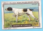 Delcampe - Nestlé - XXXXVI - Chiens De Chasse, Hunting Dogs - 7 - Pointer - Nestlé