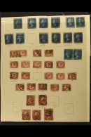 PERFORATED LINE ENGRAVED SPECIALIZED BALANCE. An Interesting Selection Of Used Stamps On Various Pages & Stock... - Autres & Non Classés