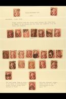 1870 1½d "SHIELD" GROUP. An Interesting Range Of The 1870 1½d Red 'shield' Stamps (SG 51/52)... - Sonstige & Ohne Zuordnung