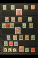 1883-1909 MINT SELECTION On A Stock Page. Includes 1883-94 Range To 5s, 1896-1906 Range To 1s, 1901-06 Range To... - Trinidad Y Tobago