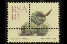 RSA VARIETY 1988-93 R1 Succulent Definitive, Single Stamp With EXTRA PERFORATIONS, SG 667, Never Hinged Mint. For... - Unclassified