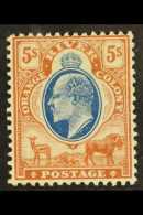 ORANGE RIVER COLONY 1903 5s Blue & Brown, SG 147, Very Fine Mint For More Images, Please Visit... - Zonder Classificatie
