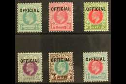 NATAL OFFICIAL 1904 Complete Set, SG O1/O6, Very Fine Mint. (6 Stamps) For More Images, Please Visit... - Sin Clasificación