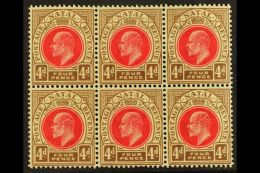 NATAL 1902-3 4d Carmine & Cinnamon, Wmk Crown CA , BLOCK OF SIX, SG 133, Very Slightly Toned Gum, Otherwise... - Unclassified