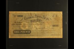 NATAL 1862 £1 COLONIAL BANK OF NATAL Banknote, Intact, Soiled, Folded & Pressed!. Scarce For More... - Non Classés