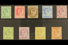 CAPE OF GOOD HOPE 1902-04 KEVII Complete Set, SG 70/78, Mint. (9 Stamps) For More Images, Please Visit... - Non Classés