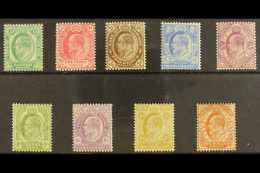 CAPE OF GOOD HOPE 1902-04 KEVII Complete Set, SG 70/78, Mint. (9 Stamps) For More Images, Please Visit... - Sin Clasificación