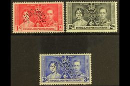 1937 Coronation Set Complete, Perforated "Specimen", SG 40s/42s, Very Fine Mint. (3 Stamps) For More Images,... - Somaliland (Protettorato ...-1959)