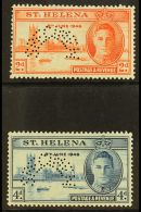 1946 Victory Set Complete, Perforated "Specimen", SG 141s/142s, Very Fine Mint. (2 Stamps) For More Images, Please... - Isla Sta Helena