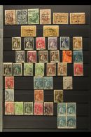 ANGOLA 1913-58 USED COLLECTION In A Stock Book. Includes Strong Ceres Ranges With Perf & Paper Variants To 10E... - Otros & Sin Clasificación