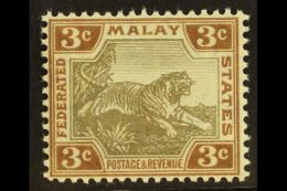 FEDERATED MALAY STATES 1904-22 3c Grey-brown & Brown Ordinary Paper, SG 32a, Never Hinged Mint, Fresh. For... - Other & Unclassified
