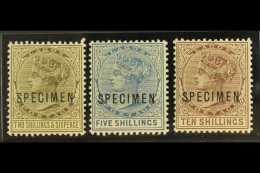 1886 2s6d, 5s & 10s Stamps Opt'd "SPECIMEN" (the Complete Set), SG 27s/29s, Very Fine Lightly Hinged Mint (3... - Nigeria (...-1960)