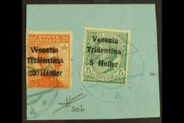 TRENTINO-ALTO ADIGE 1918 (18 Dec) 20h On 20c Orange, Variety "overprint Double", Sass 30b, Used On Good Sized... - Unclassified