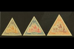 OBOCK 1894 2fr, 5fr And 10fr Meharis, Yv 60/2, Very Fine And Fresh Mint. (3 Stamps) For More Images, Please Visit... - Autres & Non Classés