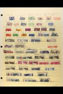 1885-1961 MINT AND USED ASSEMBLY On Stock Pages, Duplicated Ranges With Many Complete Red Cross And Charity Sets,... - Other & Unclassified
