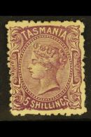 TASMANIA 1871-78 5s Purple, Perf 11½, SG 149, Fine Unused Without Gum. For More Images, Please Visit... - Otros & Sin Clasificación