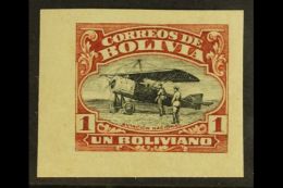 1924 1b Red-brown & Black Air Aviation School IMPERF Variety, Sanabria 14 (as Scott C5, SG 174), Fine Never... - Bolivie