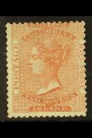 1860 2½d Pale Reddish Rose, SG 3, Very Fine Mint. Rich, Full Colour And Crisp Engraving. Lovely Stamp. For... - Autres & Non Classés