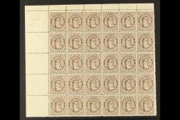 1893-1900 1d Deep Brown Perf 11, SG 13, A Fresh Mint (traces Of Gum Only) Complete Upper Left HALF-PANE Of 30... - Cook