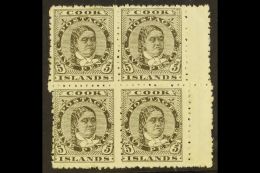 1893-1900 5d Olive-black Perf 12x11½, SG 9, Fine Mint (two Stamps Never Hinged) BLOCK Of 4 With Gutter At... - Islas Cook