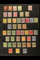 1880-1951 FINE MINT COLLECTION On Stock Pages. Includes 1880 Overprints To 4d, 1894-96 To 6pi And 9pi, Edwardian... - Andere & Zonder Classificatie