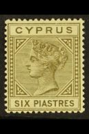 1882-86 6pi Olive-grey, Die I, Watermark Crown CA, SG 21, Fine Mint. For More Images, Please Visit... - Andere & Zonder Classificatie