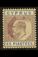 1902-04 45pi Dull Purple And Ultramarine, Watermark Crown CA, SG 59, Very Fine Mint. For More Images, Please Visit... - Autres & Non Classés