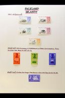 1953-1993 COMPLETE SUPERB MINT COLLECTION On Leaves, All Different, Inc 1955-57 Set, 1960-66 Birds Set, Plus... - Falkland