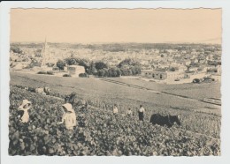 AY - MARNE - CHAMPAGNE POMMERY ET GRENO - PREMIER CRU DE RAISINS NOIRS - VENDANGES - Ay En Champagne