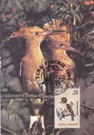 #BV2493 BIRD, MAXIMUM  CARD, USED, 1995, ROMANIA. - Pics & Grimpeurs