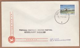 AC - NORTHERN CYPRUS FDC - ORANGE FESTIVAL GUZELYURT 14 - 22 JUNE 1980 - Lettres & Documents