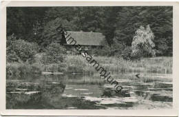 Boltenmühle - Blockhaus - Foto-AK Handabzug - Foto-Verlag Winkler Altruppin - Neuruppin