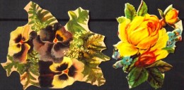 CHROMOS DECOUPIS GAUFFRES - FLEURS - Dimensions : 50 X 60mm De Haut - Très Bon Etat - Flowers