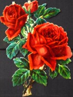 CHROMOS DECOUPIS GAUFFRES - FLEURS - Scans Recto / Verso - Dimensions : 60 X 90mm De Haut - Tès Bon Etat - Flowers