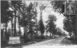 CARTE POSTALE ANCIENNE D´ECLARON - CROIX DE MISSION - Eclaron Braucourt Sainte Liviere