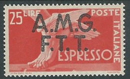 1947-48 TRIESTE A ESPRESSO DEMOCRATICA 25 LIRE MH * - P19-8 - Express Mail