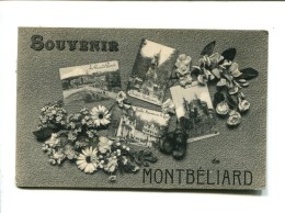 CP  MONTBELIARD (25) - Montbéliard