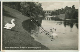 Berlin-Wilmersdorf - Hindenburg-Park - Foto-Ansichtskarte - Wilmersdorf