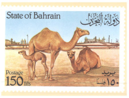 (365) State Of Bahrain - Camel - Chameau - Bahreïn
